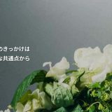 【体験談】felizを2ヶ月利用した感想・口コミ|真剣な出会いを探すならアリ?