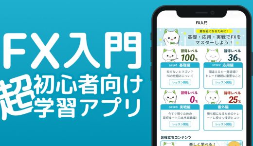 【体験談】2ヶ月間「FX初心者ガイド」を使って学び、ようやくFXを始められた話